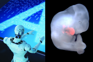 Read more about the article Boundaries of Personhood for Artificial Intelligence & CRISPR Chimeras