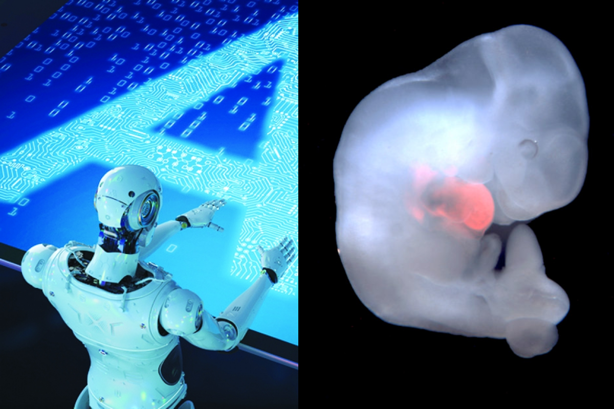 You are currently viewing Boundaries of Personhood for Artificial Intelligence & CRISPR Chimeras