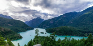 Read more about the article Personhood for Nature Q&A #1